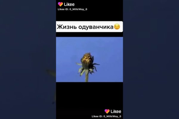 Kraken смылка