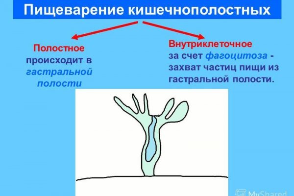 Kraken официальный сайт вход