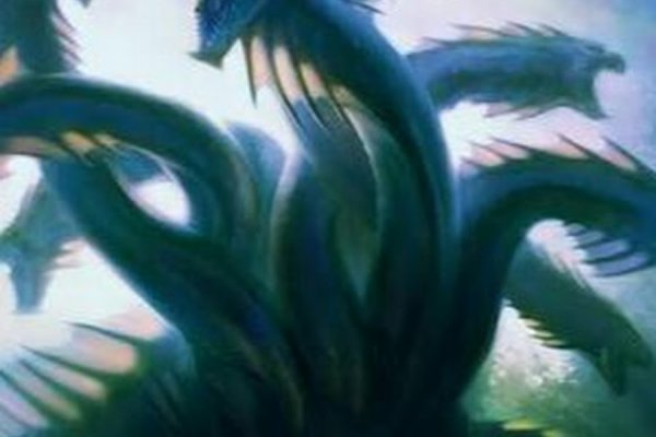 Kraken19 at