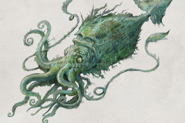 Kraken onion link